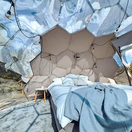 Kemp Grizzly Igloo Iii The Patriot One *